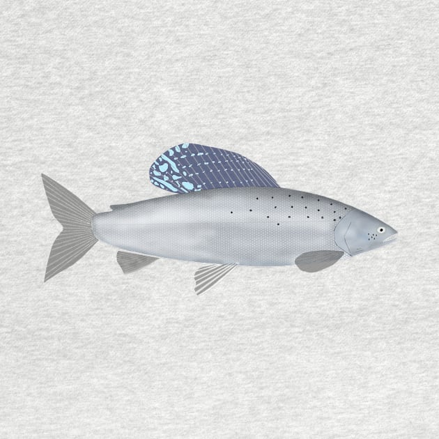 Arctic Grayling by FishFolkArt